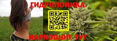 a pvp Ставрополь