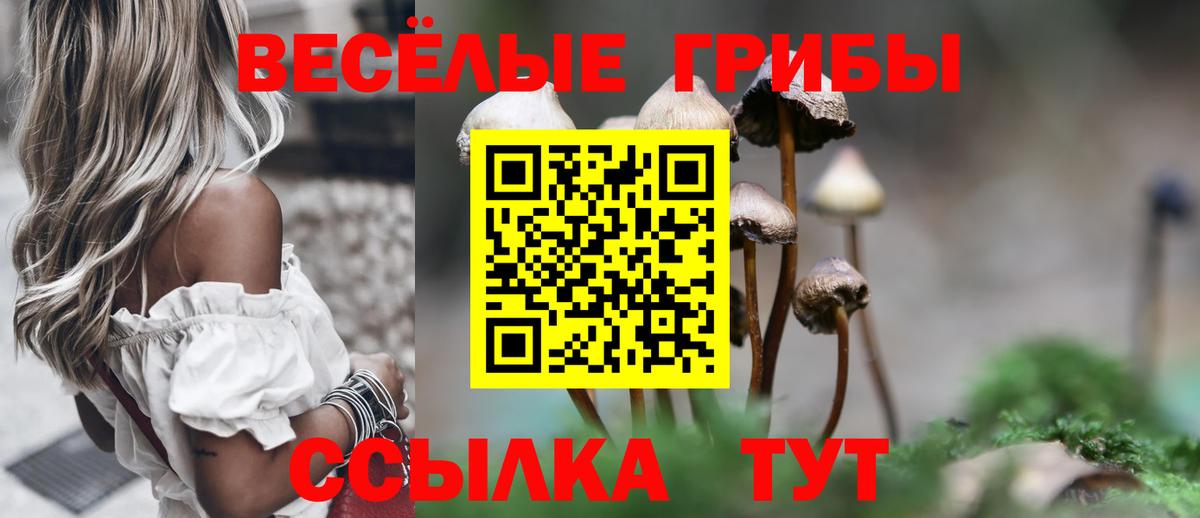 Псилоцибиновые грибы мухоморы  Вход с VPN  как найти закладки  Галлюциногенные грибы Magic Shrooms  Шатура 